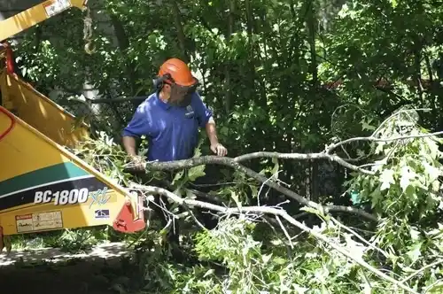 tree services Irvington